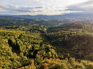Naklejka premium Sundrenched Forest Depression Reaches Toward Horizon With Stunning Vistas Perfect For Outdoor Activities