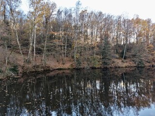 Obraz premium peaceful forest lake reflection, tranquil woodland pond mirroring overcast sky surrounded by birch trees