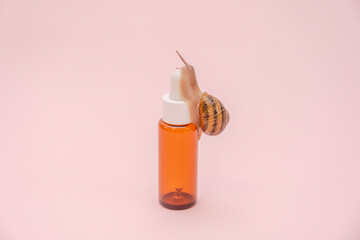 Cosmetics bottle with snail on it. Mockup for brand. Skin care, spa, luxury cosmetic, natural beauty product © Antonio