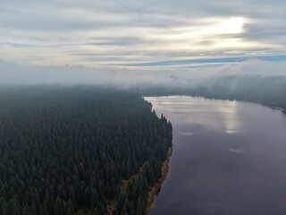 serene river and forest scene, early morning mist over river bend and pine forest background