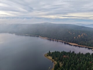 serene forested shoreline at dawn, path winding along tranquil shoreline with sunrise illuminating scenery
