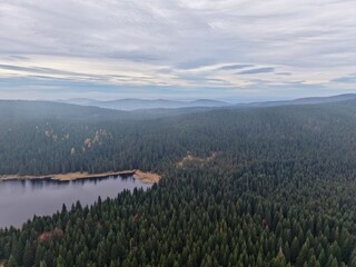 serene early morning forest scene, vast view of misty forest lake during dawn with distant hills