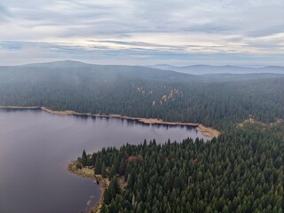 calm lake amidst lush trees, tranquil lake encircled by thick forests under gentle gray sky