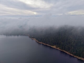 quiet forested coast with foggy hills, untouched shoreline with misty mountains and dense pines