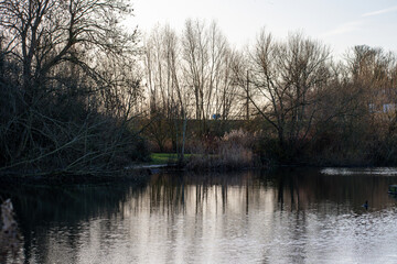 A beautiful sunrise over the waters of Iremongers Pond in Nottingham, UK.
