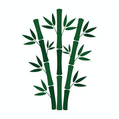 Obraz premium Illustration of bamboo plants