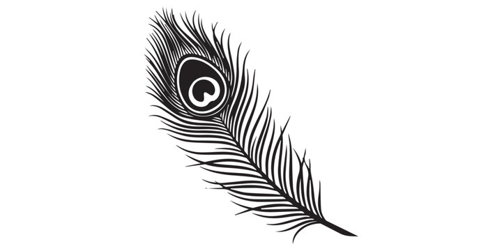 Black and white peacock feather vector illustration, a simple silhouette with clean edges, no shadow or background details, in a vector flat style on an isolated white background. An ornate peacock