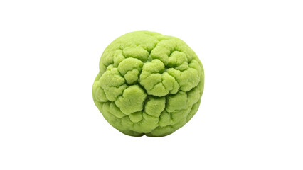 Obraz premium Green brain isolated on transparent background