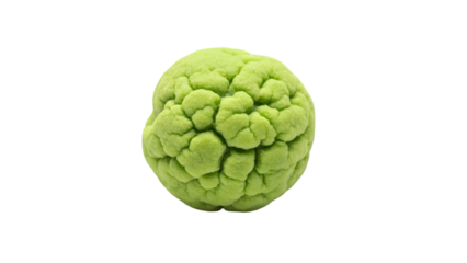 Green brain isolated on transparent background
