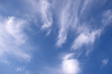 Beautiful sky landscape with white calm fluffy cirrus clouds high in the stratosphere on a sunny serenite day