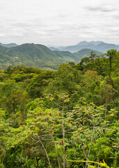 Atlantic forest landscape: view from the mountains at Estrada Rio do Julio in Schroeder, Santa Catarina, Brazil