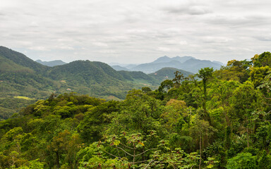 Atlantic forest landscape: view from the mountains at Estrada Rio do Julio in Schroeder, Santa Catarina, Brazil