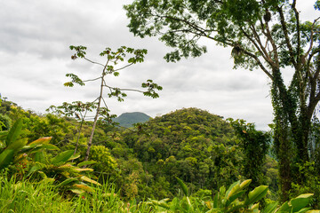 Atlantic forest landscape: view from the mountains at Estrada Rio do Julio in Schroeder, Santa Catarina, Brazil