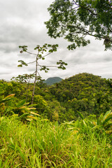 Atlantic forest landscape: view from the mountains at Estrada Rio do Julio in Schroeder, Santa Catarina, Brazil
