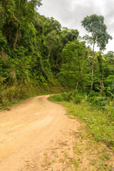 Scenic rural road view of Estrada Rio do Julio surrounded by Atlantic forest - Santa Catarina, Brazil