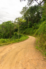Scenic rural road view of Estrada Rio do Julio surrounded by Atlantic forest - Santa Catarina, Brazil