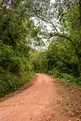 Scenic rural road view of Estrada Rio do Julio surrounded by Atlantic forest - Santa Catarina, Brazil