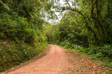 Scenic rural road view of Estrada Rio do Julio surrounded by Atlantic forest - Santa Catarina, Brazil