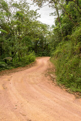 Scenic rural road view of Estrada Rio do Julio surrounded by Atlantic forest - Santa Catarina, Brazil