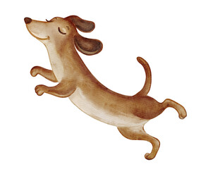 Watercolor jumping dachshund dog. Cute playful puppy illustration isolated on transparent background, ideal for pet projects, kids prints, greeting cards, stickers and cheerful design.