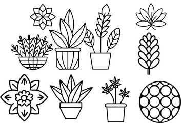 Vector set of flowers and plants with floral illustrations and leaves.