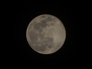 Fototapeta premium moon in the night sky
