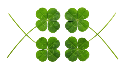 Four green four leaf clovers arranged symmetrically with thin stems crossing over each transparent background and plain white background