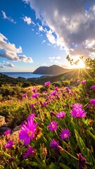 Sunny wildflower meadow overlooking a scenic coastal hillside with a bright sunburst and fluffy clouds
