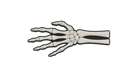 3D Skeleton Hand Illustration on transparent background