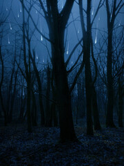 Meteor shower in the forest. Shooting stars through the branches of trees. Night landscape with fireballs.