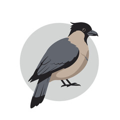 Cartoon illustration of a hooded crow with black head and grey body against a circular background.
