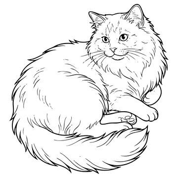 Ragdoll Cat Vector Line Art Illustration for Coloring