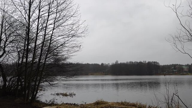 A plastic boat lies upside down on the shore under a dead reed near an alder tree. There are buildings and trees on the opposite shore of the lake. There are ripples on the water. Cloudy and snowless