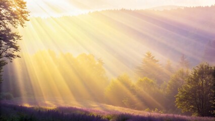 Golden sunbeams piercing through a serene forest canopy, illuminating a misty meadow at sunrise, creating an ethereal and peaceful natural landscape scene