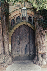 Fototapeta premium A dark, studded wooden door framed by two massive, ancient yew trees that form a natural arch in a famous landmark in the Cotswolds, Stow-on-the-Wold, St Edward's Church