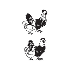 Vector illustration of a chicken