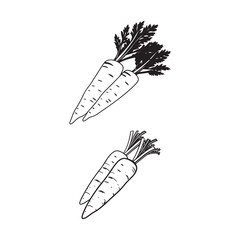 Lineal Hand-Drawn Carrots 
