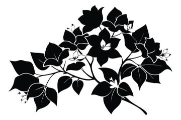 bougainvillea silhouette line art vector illustration © kanchanrani