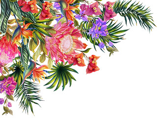 Tropical frame with exotic plants for the summer sale. Palm leaves, strelitzia, bougainvillea, protea. A bright template for seasonal discounts