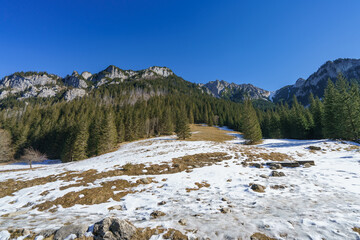 Dolina Koscieliska valley in snow at beautiful Polish west Tatry mountains. Winter season in Poland