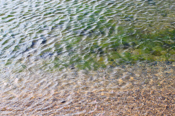 sand and sea water in beach