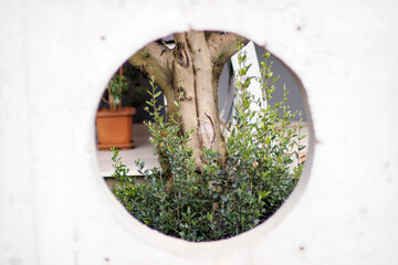 round concrete window and flowers