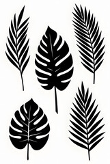 Obraz premium Minimalist Black Palm Leaf Silhouettes Collection Isolated on White Background