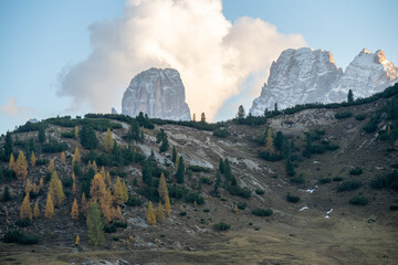 Mountain forest - Prato Piazza in Dolomites Italy, fall landscape in the mountains with alpine trees and forests