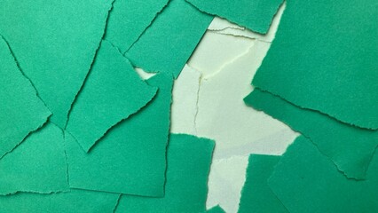 green pieces of torn paper with ripped edges. torn green pieces. Green background from green pieces. Ripped green paper mockup isolated