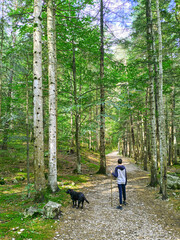 Promenade vers la r&eacute;surgence des Gillardes 