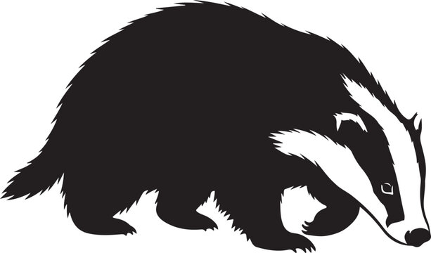 A striking black and white silhouette of a badger walking forward