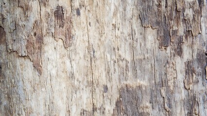 Light beige peeling paint wood texture background