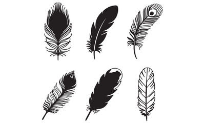 Feathers vector icon design bundle