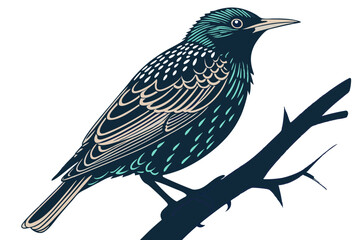 Starling Bird Silhouette Nature Wildlife Vector Art